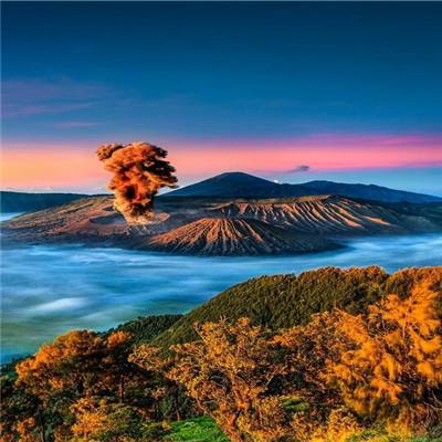 文状元游戏下载